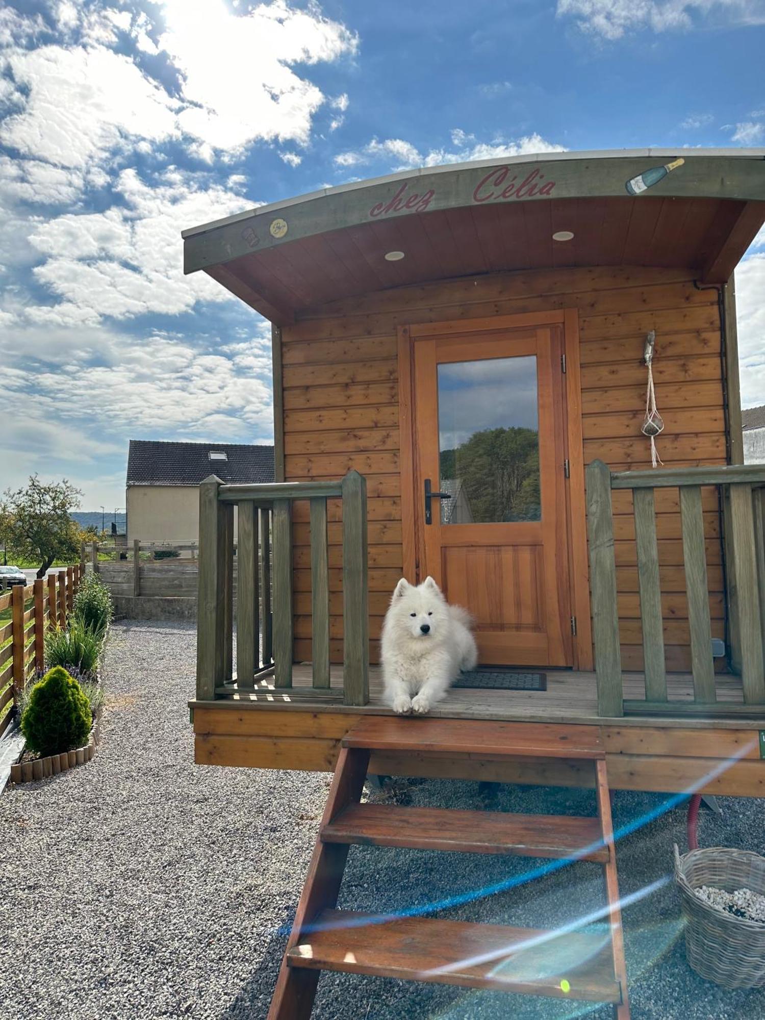 Chez Celia, Roulotte En Champagne Chalet *